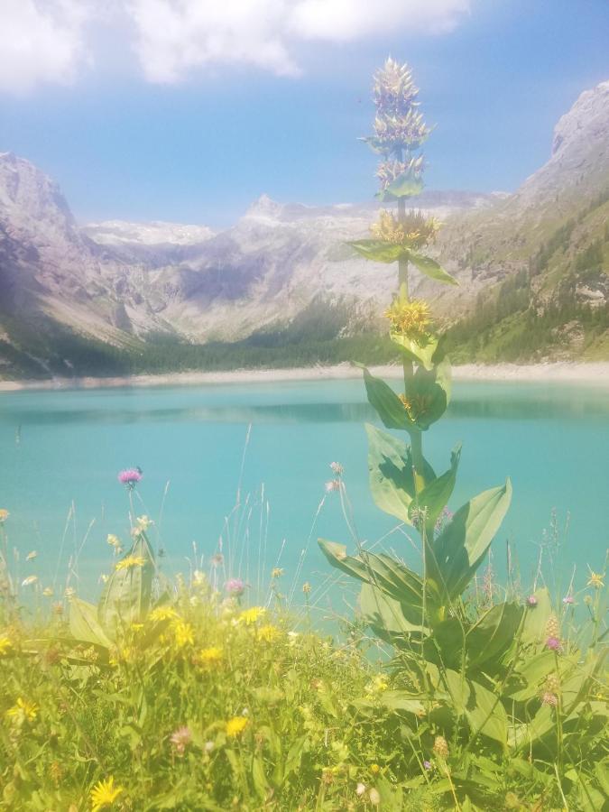 Chambres D'Hotes Pres De Verbier Volleges Eksteriør bilde